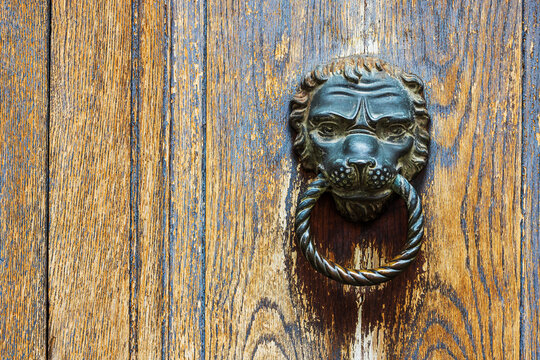 the Metal knocker like a lion's head on an ornate door