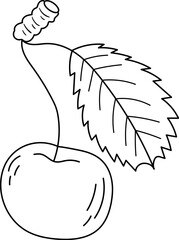 Cherry with leaf in line art illustration Sketch art