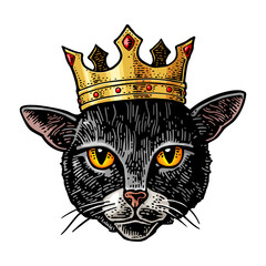 Cat head with crown. Vintage vector color engraving