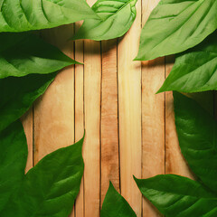 Wooden panel backdrop and tropical greenery for merchandise display. Generated through AI technology.