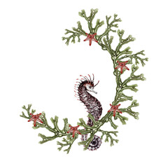 wreath of fucus,  starfish and seahorse