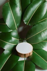 Timber panel backdrop and tropical greenery for displaying merchandise. Generated via AI technology.