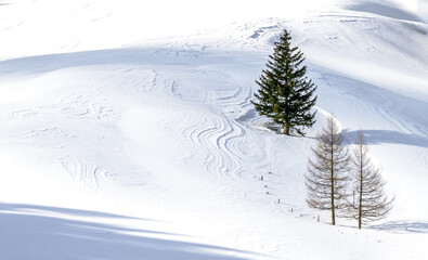 Winterlandschaft