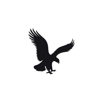 An eagle about to catch its prey. Vector illustration.
