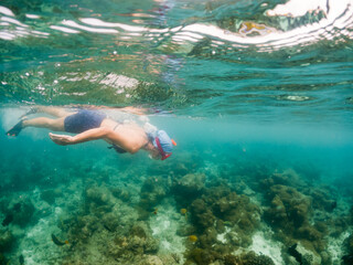 Naklejka premium woman snorkeling in clear tropical sea