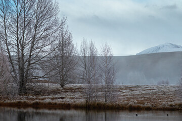Frost at Kelland's Pond
