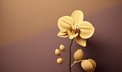  a yellow flower is on a brown and pink background with a shadow of the flower on the wall behind it and a shadow of the flower on the wall.  generative ai