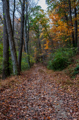 The Trail to Lake Williams on an Autumn Afternoon, York County Pennsylvania USA, Pennsylvania