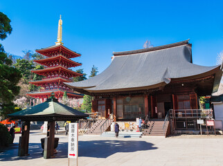 Naklejka premium 高幡不動尊 不動堂と五重塔