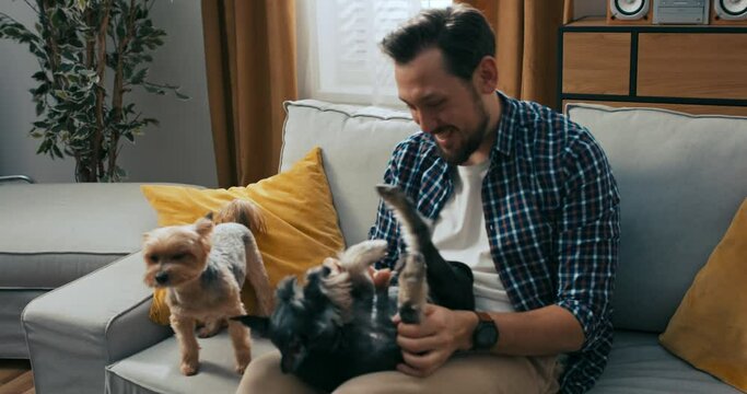 A man strokes his dog while watching the latest news on television. The brunet is dressed in a white t-shirt. A man with a disability is sitting on a couch with his two dogs, enjoying a good time.