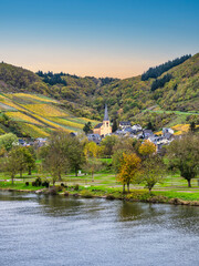 Fototapeta na wymiar Senheim village and church between steep vinyards and lush mountain during autumn in Cochem-Zell district, Germany