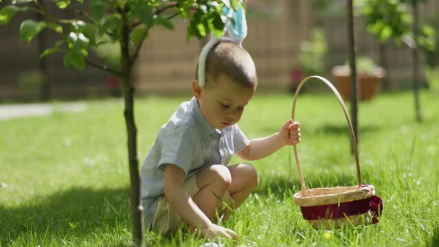 happy Easter holiday little kid boy pick up Easter egg in grass play Egg Hunt game. spring sunny day outdoors lawn. Easter and spring concept of Easter tradition. Child boy wear bunny ears on his head