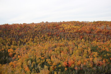 Fall Colors In Minnesota