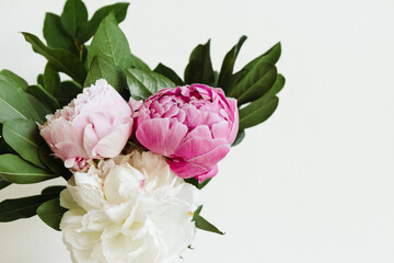 A cheerful bunch of peonies against a white background. The peony flower blooms are pink and white with deep greens surrounding them in the bouquet. 