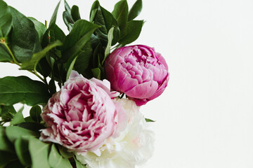 A cheerful bunch of peonies against a white background. The peony flower blooms are pink and white with deep greens surrounding them in the bouquet. 