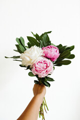 A cheerful handful of peonies against a white background. The peony flower blooms are pink and white with deep greens surrounding them in the bouquet. 

