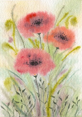 Watercolor red poppy flowers abstract field illustration banner.