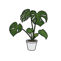 Monstera plant doodle icon, vector color line illustration