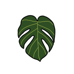Monstera plant doodle icon, vector color line illustration