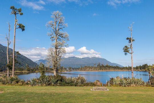 Lake Brunner (Moana) with Hohonu Range and ancient podocarp trees, West Coast, New Zealand