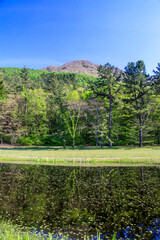 Obraz premium 姫逃池