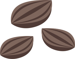 Parsley grain icon isometric vector. Plant food. Natural organic