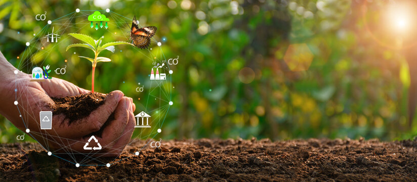 Sustainable Development Images Browse 66 841 Stock Photos Vectors Sustainable Development Images Browse 66 841 Stock Photos Vectors