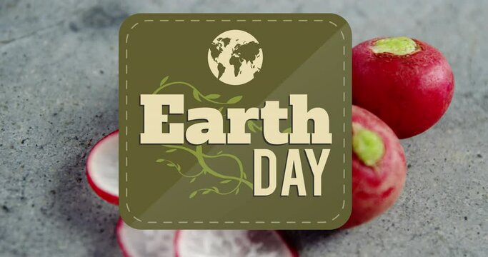 Animation of earth day text banner against close up of red radish on grey surface