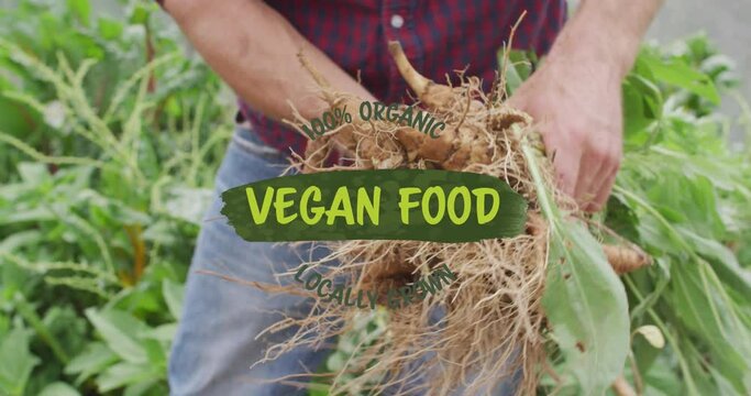 Animation of vegan food text banner over caucasian male farmer farming in the farm