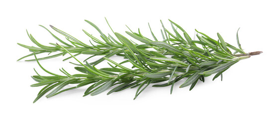 Fresh green rosemary twigs isolated on white