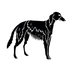 Vector hand drawn doodle sketch black russian borzoi dog isolated on white background