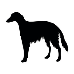 Vector hand drawn russian borzoi dog silhouette isolated on white background