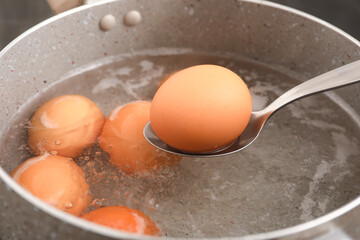 Spoon with boiled egg above cooking pot in kitchen, closeup