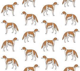 Vector seamless pattern of hand drawn doodle sketch colored russian borzoi dog isolated on white background