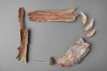 Frame made of tree bark pieces, dry twig and leaves on gray background, flat lay. Space for text