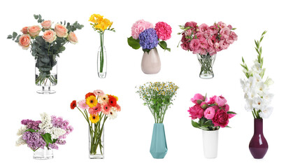 Collage with many beautiful flowers in different vases on white background - obrazy, fototapety, plakaty