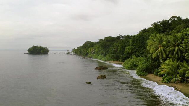 Pacific Coast With Rainforest