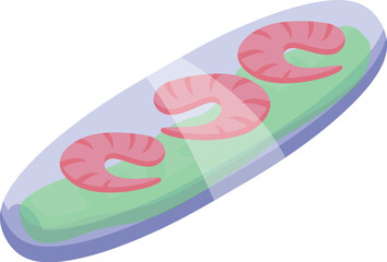Shrimp food icon isometric vector. Meal dinner. Spring roll
