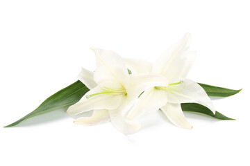 Obraz na płótnie Canvas Beautiful lily flowers isolated on white background
