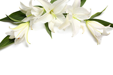 Composition with beautiful lily flowers on white background