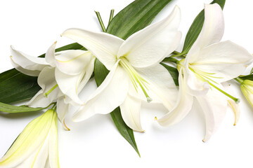 Fototapeta premium Composition with beautiful lily flowers on white background, closeup