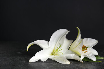 White lily flowers on dark table