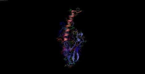 Semaglutide, Ozempic, Wegovy, Rybelsus, antidiabetic medication 3D molecule bound to GLP receptor 4K