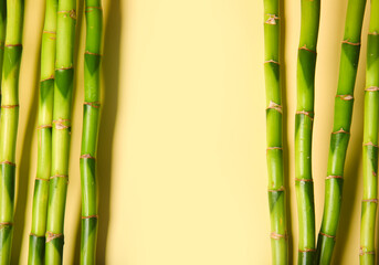 Fototapeta na wymiar Bamboo branches on beige background