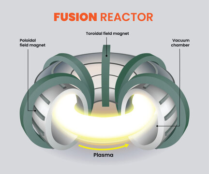 Fusion reactor diagram, magnetic confinement  fusion illustration