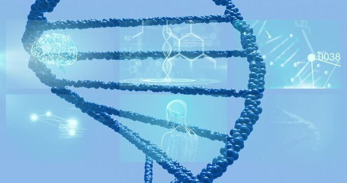 Animation of dna structure over screens with medical data processing against blue background