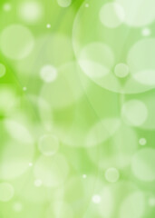 Fototapeta premium 緑イメージ 新緑の木漏れ日の背景素材