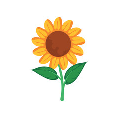 bright sunflower design