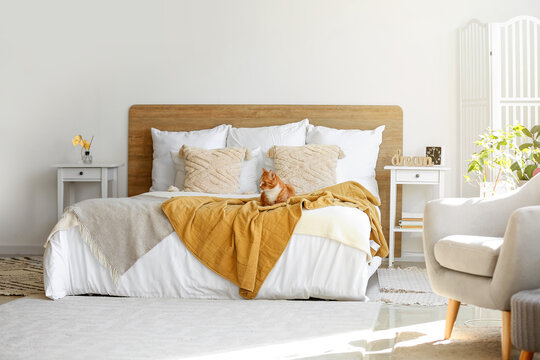 Cute Red Cat Lying On Blanket In Light Bedroom