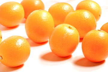 完熟したキンカン